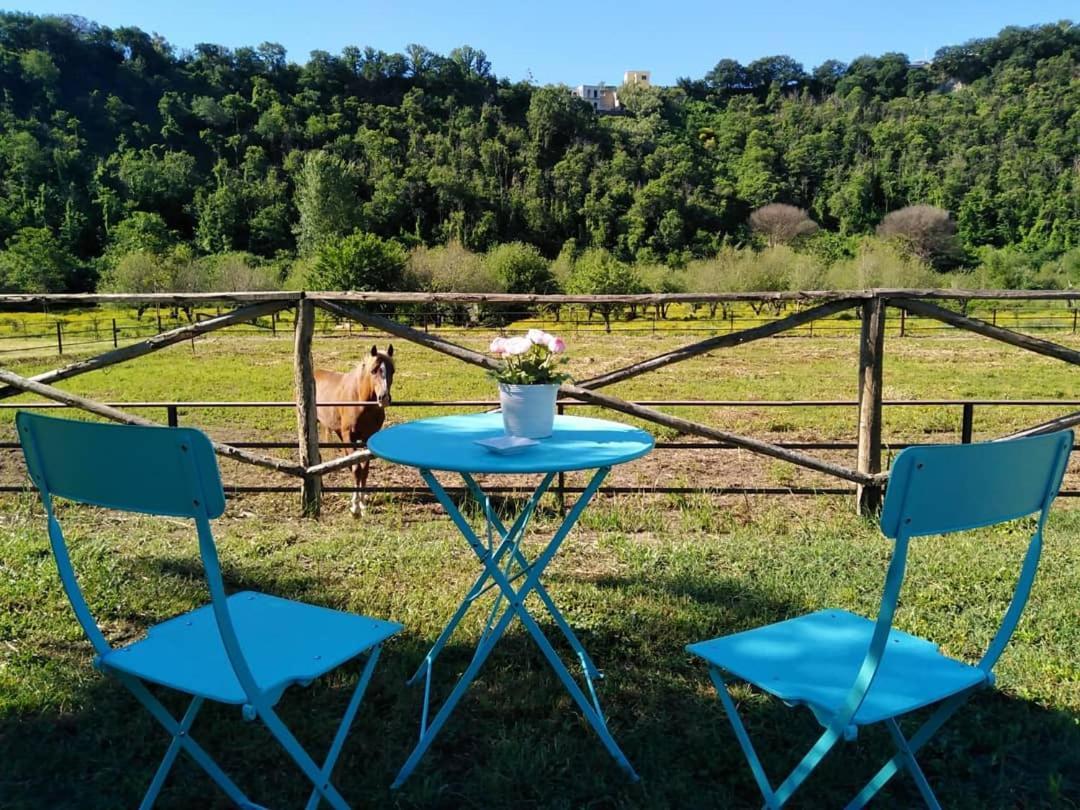 Tenuta Calidarius Baia  Εξωτερικό φωτογραφία
