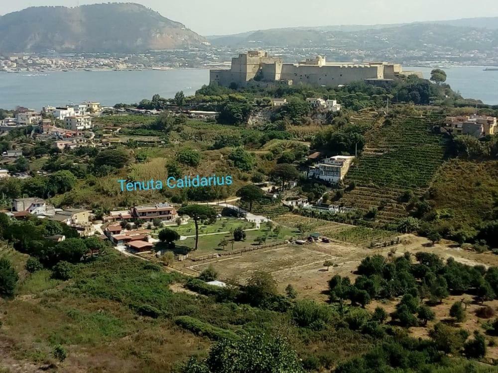 Tenuta Calidarius Baia  Εξωτερικό φωτογραφία